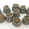 Top Shelf Tokens: Grain -Top Shelf Tokens Shop IMG 4942 962bf4bc c473 4040 918f c1f1cf9081f1 1024x1024