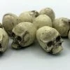 Top Shelf Tokens: Skulls -Top Shelf Tokens Shop IMG 7732 1024x1024