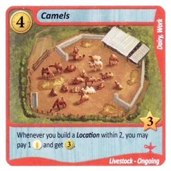 Fields Of Green: Camels