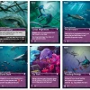 Oceans: The Deep – Promo Pack 2